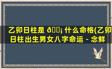 乙卯日柱是 🐡 什么命格(乙卯日柱出生男女八字命运 - 念鲜命理)
